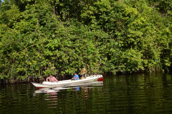 Project-Forest-Protection-Pacajá-Brazil 