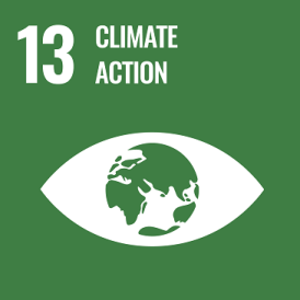 UN Sustainable development goal 13: climate action