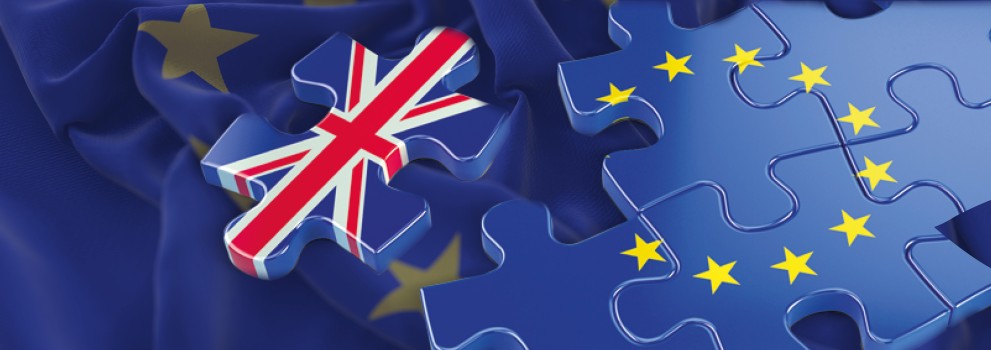 GLS, the UK destination’s Expert since the post-Brexit