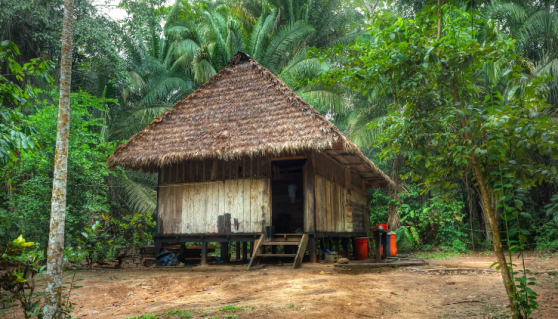 Hut in het regenwoud van Peru